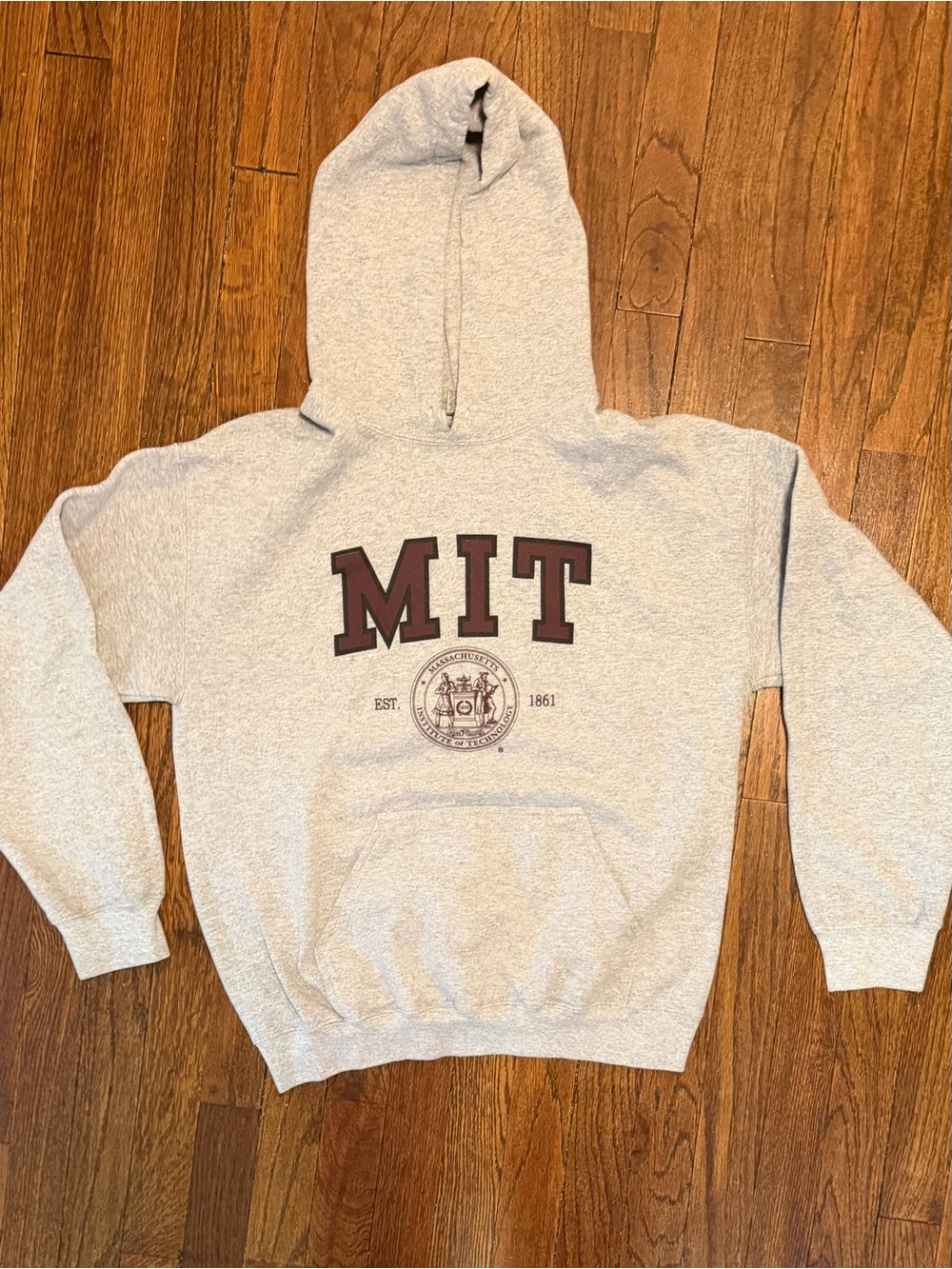 MIT Massachusetts Institute of Technology Gildan Gray Hoodie Sweatshirt, S/M